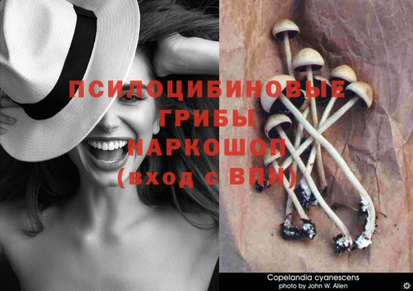 mdpv Иннополис