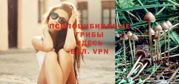 mdpv Иннополис